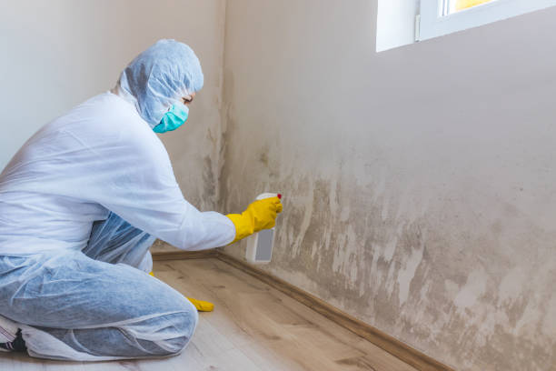 Bathroom Mold Removal assessment in Silverdale bathroom