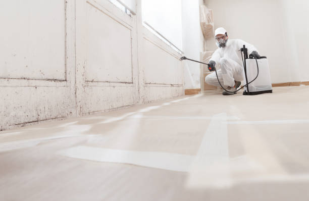 Black mold remediation team in Silverdale